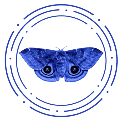 Falena Blu