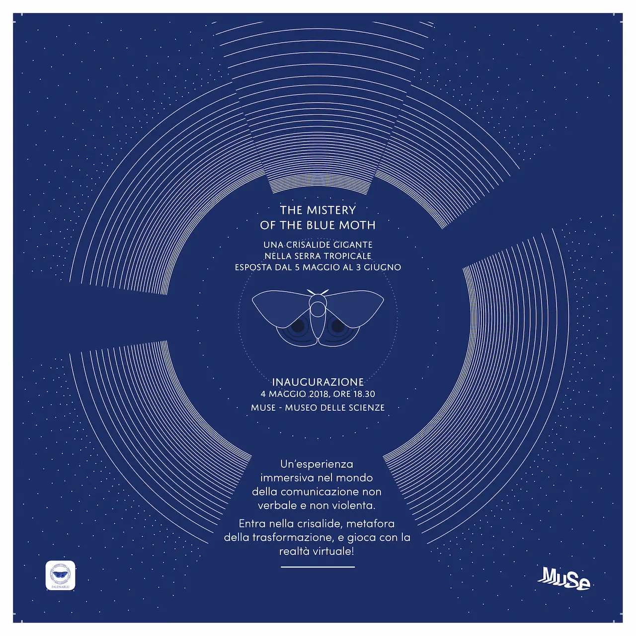 Falena Blu - The mistery of the blue moth